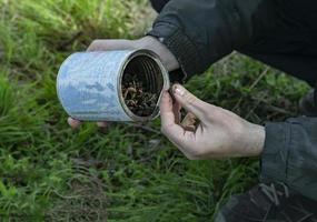 detailopname van een pot met een Californië worm. thema aas voor vis karper, baars, zilver karper, aal, kakkerlak, kil, crucian karper, voorn, brasem. foto