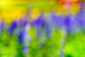 abstract kleuren vervagen bloem voor achtergrond foto
