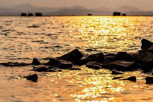 rots in de water zonlicht reflecteren de geel gloed foto