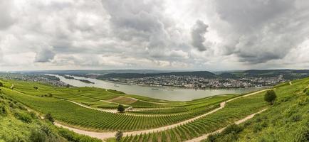 panorama visie over- Rijn rivier- van niederwald monument in de buurt rüdesheim in Duitsland in zomer foto