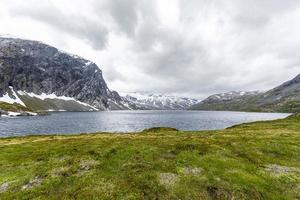 visie Aan meer djupvatnet in de buurt geiranger in Noorwegen in zomer foto