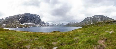 visie Aan meer djupvatnet in de buurt geiranger in Noorwegen in zomer foto