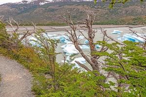 panoramisch beeld over- lago grijs met ijsbergen in Torres del paine nationaal park in Patagonië in zomer foto