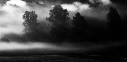 landschappen van Letland in zomer foto