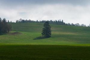 Lets lente landschappen foto