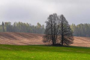 Lets lente landschappen foto