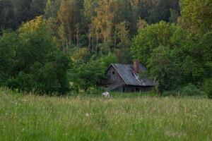 Lets zomer landschappen foto