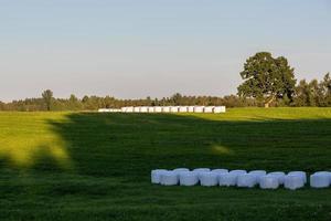 Lets zomer landschappen foto