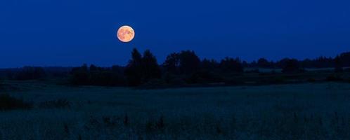 landschappen van Letland in zomer foto