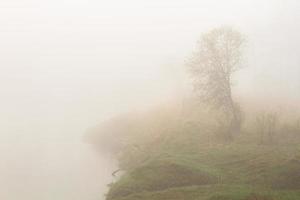 Lets lente landschappen foto