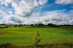 landschappen van Letland in zomer foto