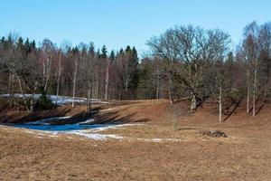 Lets lente landschappen foto