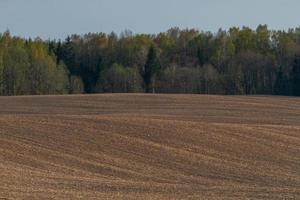 Lets lente landschappen foto