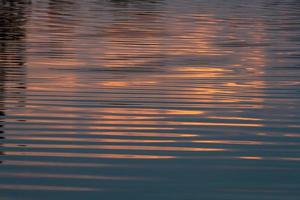 moeras meer in lente foto