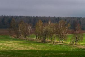 Lets lente landschappen foto