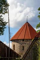 cesis stad in de zomer foto