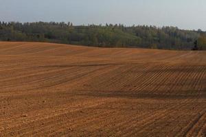 Lets lente landschappen foto