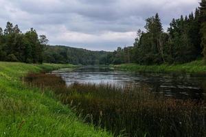 zomer landschappen met rivier- in Letland foto