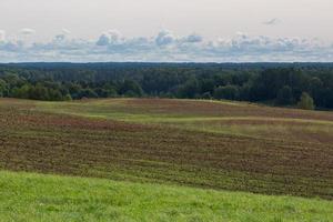 zomer landschappen in Letland foto