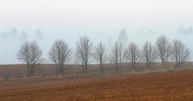 Lets lente landschappen foto