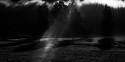 landschappen van Letland in zomer foto