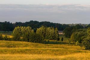 Lets zomer landschappen met hooi broodjes foto