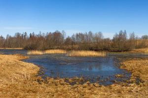 Lets lente landschappen foto