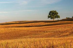 Lets zomer landschappen foto