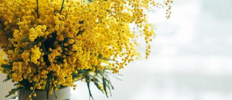 boeket van geel mimosa bloemen. 8 maart, vrouwen dag concept. kopiëren ruimte foto