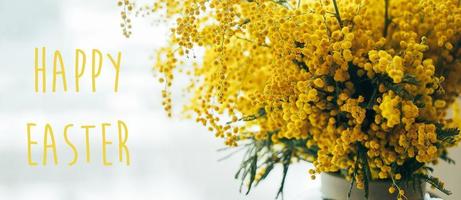 gelukkig Pasen. boeket van geel mimosa bloemen. 8 maart, vrouwen dag concept. ansichtkaart voor vakantie foto