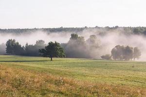 Lets zomer landschappen foto