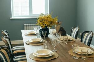 feestelijk tafel instelling en schattig huisdier kat Aan houten tafel. takken van mimosa bloemen in vaas. foto