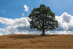 Lets zomer landschappen met wolken foto