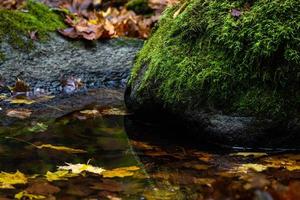 Lets herfst landschap foto