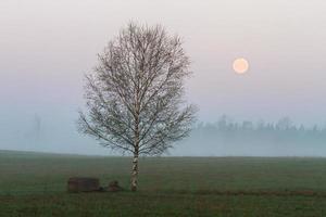 Lets lente landschappen foto