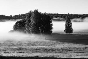 landschappen van Letland in zomer foto