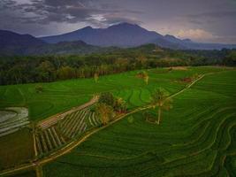 antenne visie van Azië in Indonesisch rijst- veld- Oppervlakte met bergen en groen rijst- foto