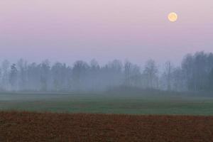 Lets lente landschappen foto