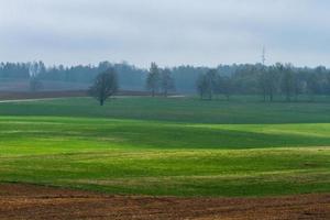 Lets lente landschappen foto