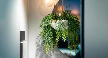 de interieur decoratie, kunstmatig nep boom is hing in wit pot in voorkant van een spiegel. foto