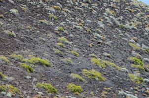 natuurlijk grond detailopname visie foto