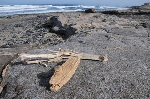 stukken van hout door de strand foto