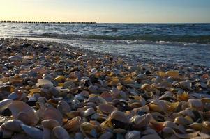 schelp strand door de zee Aan de Baltisch zee. zonsondergang, golfbrekers in de achtergrond. kust foto