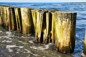 Bij de strand van de Baltisch zee in zinst. visie van de zee met kribben. zingst foto