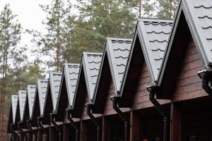 rij van daken met groen metaal tegel van houten huizen huisje door de Woud. tew huis voor huur in natuur. eco stijl. kant visie foto