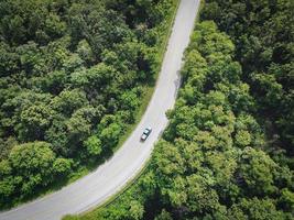 kromme weg top - antenne top visie landelijk weg in de Woud, weg en regen Woud, antenne visie weg in natuur, ecosysteem en gezond milieu foto