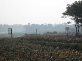 de dorp veld- foto