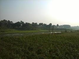 de dorp veld- foto