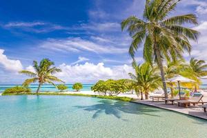 mooi luxe paraplu en stoel in de omgeving van buitenshuis zwemmen zwembad in hotel en toevlucht met kokosnoot palm boom Aan blauw lucht. luxueus zomer vakantie en vakantie spandoek. boost omhoog kleur verwerken foto