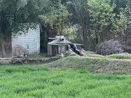 bergen en bomen Aan een land- foto